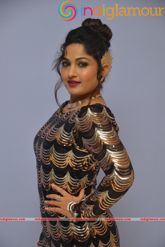 Madhavi Latha Latest Hot And Spicy Photo Gallery Actress hd photo