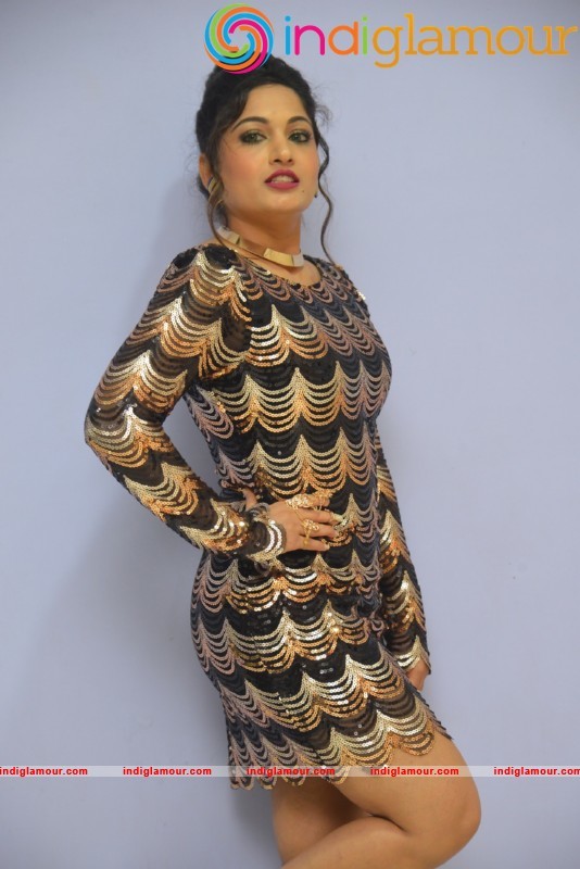 Madhavi Latha Latest Hot And Spicy Photo Gallery Actress hd photo