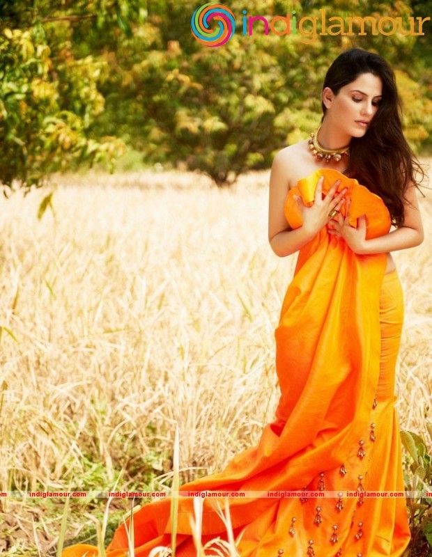 Kanishka Singh Latest Hot And Spicy Photoshoot Actress hd photo