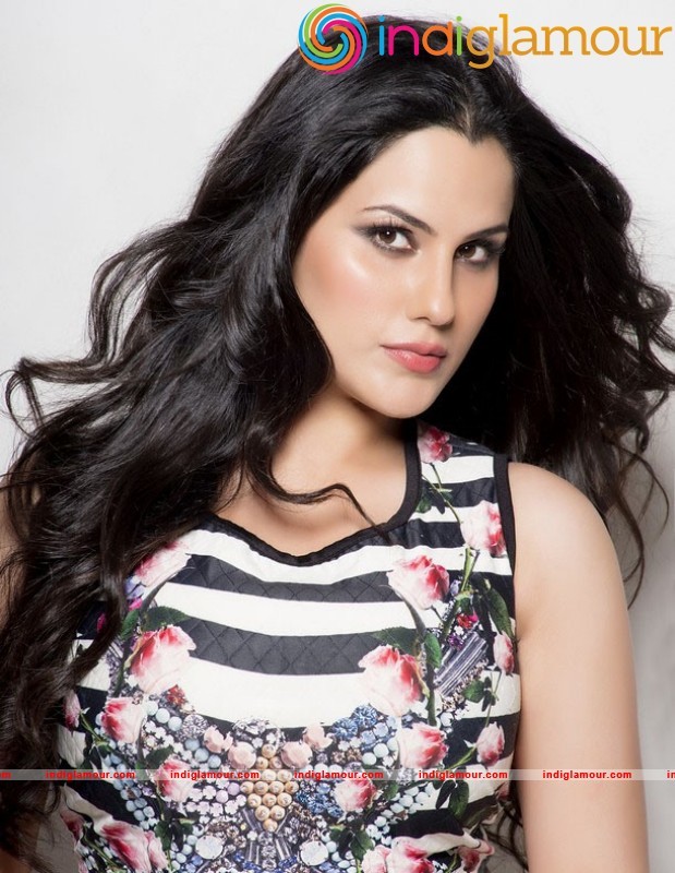 Kanishka Singh Latest Hot And Spicy Photoshoot Actress hd photo