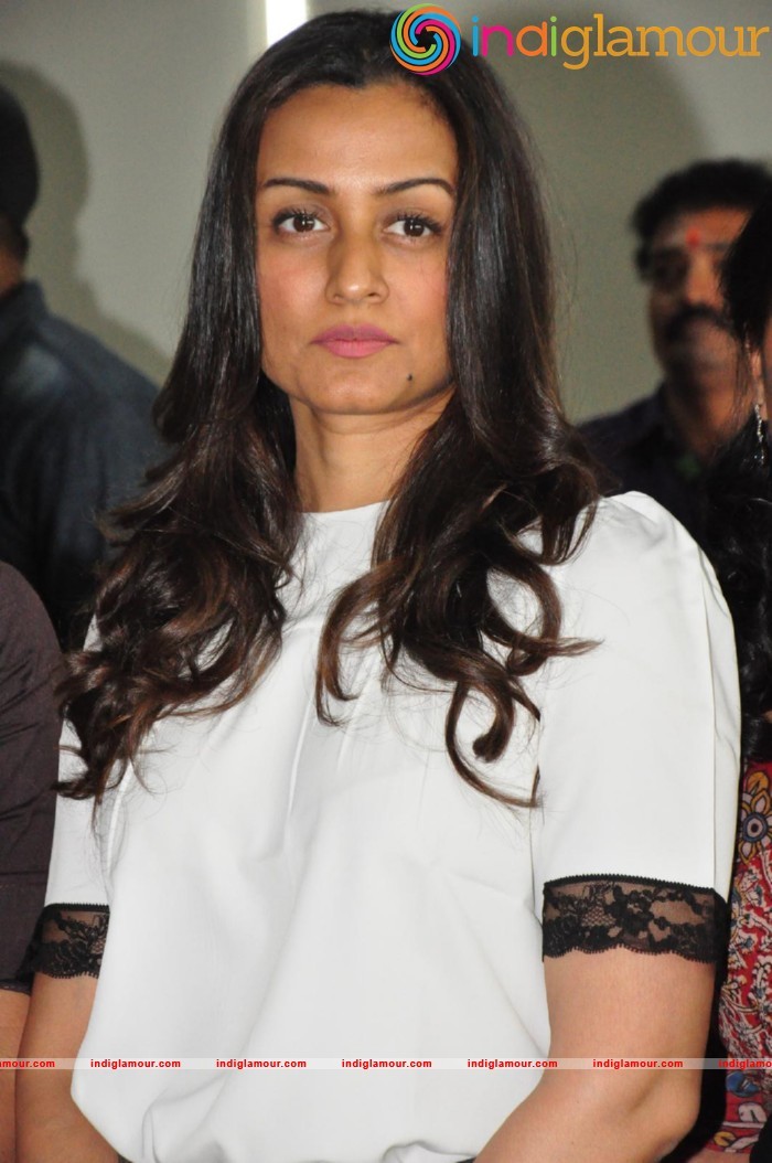 Narmada Latest Photos Gallery Actress hd photo