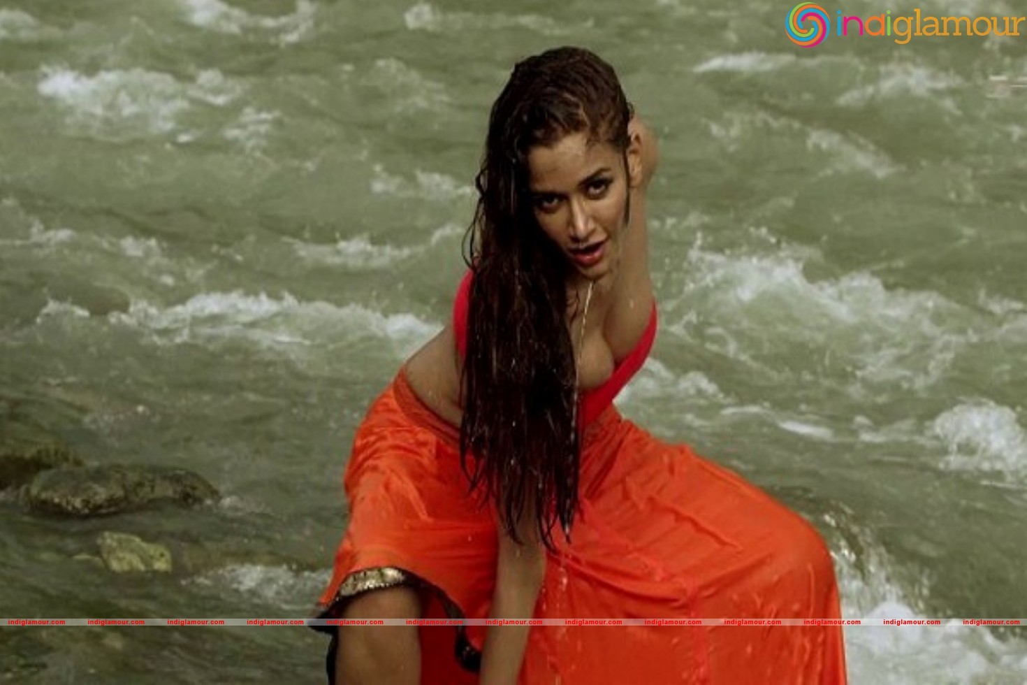 Anaika Soti Spicy And Hot Wet Boobs Photos Gallery Actress hd photo