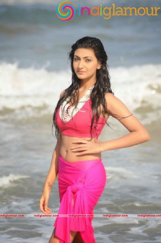 Neelam Upadhyay Latest Hot Photos Gallery Actress hd photo
