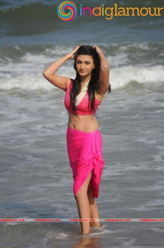 Neelam Upadhyay Latest Hot Photos Gallery Actress hd photo