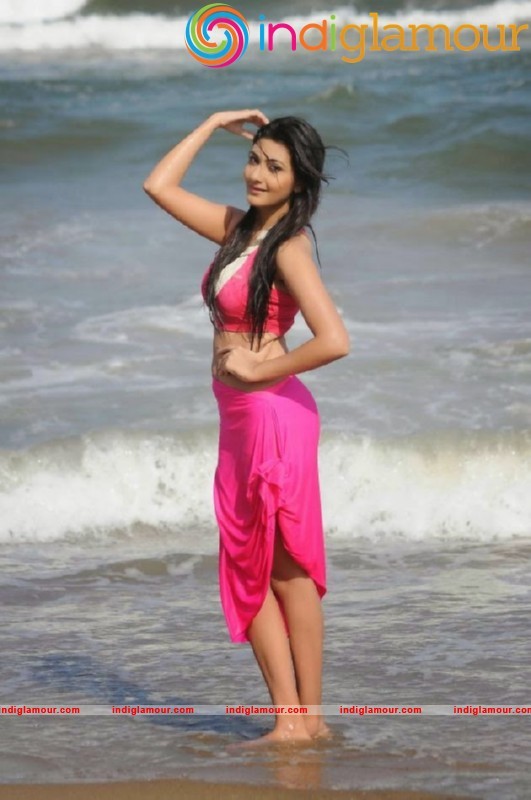 Neelam Upadhyay Latest Hot Photos Gallery Actress hd photo