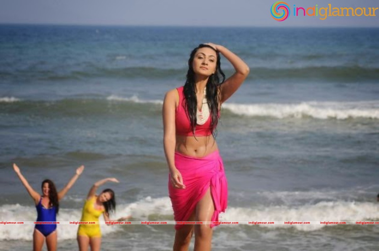 Neelam Upadhyay Latest Hot Photos Gallery Actress hd photo