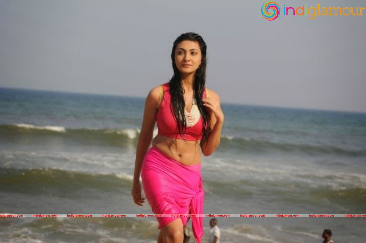 Neelam Upadhyay Latest Hot Photos Gallery Actress hd photo