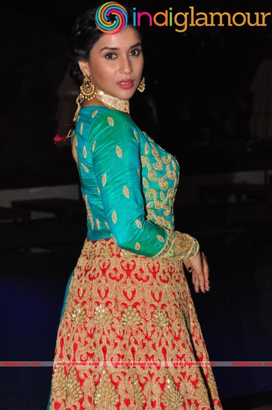 Mannara Chopra Latest Photo Gallery Actress hd photo
