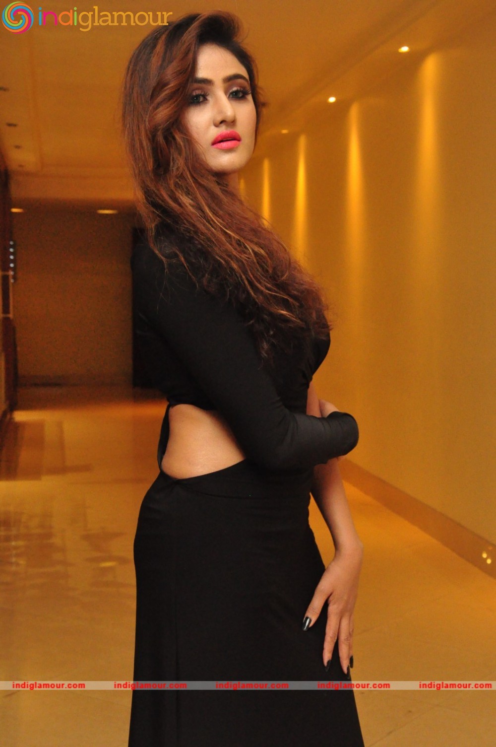 Sony Charishta Actress hd photo