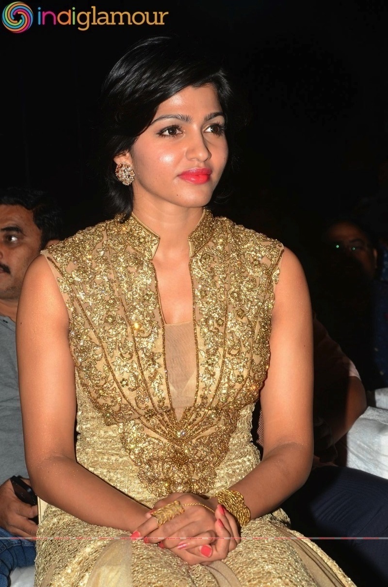 Sai Dhansika Actress hd photo