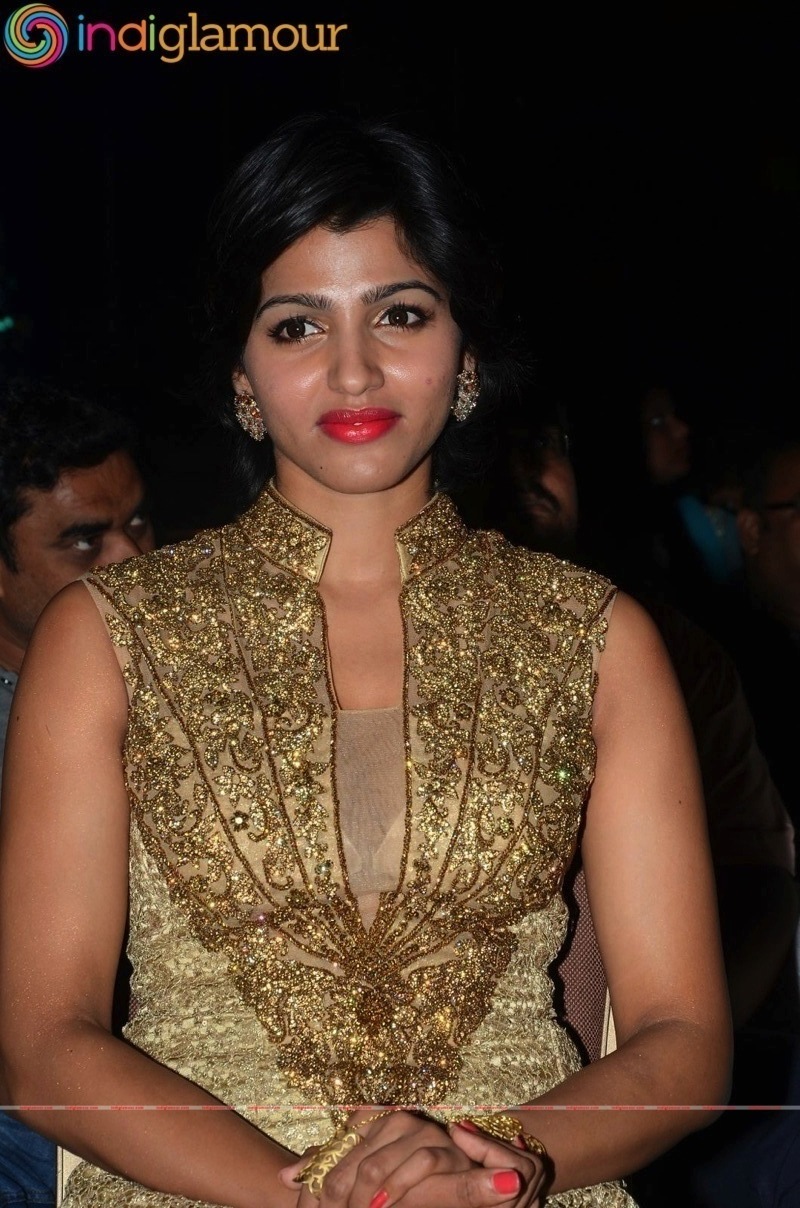 Sai Dhansika Actress hd photo