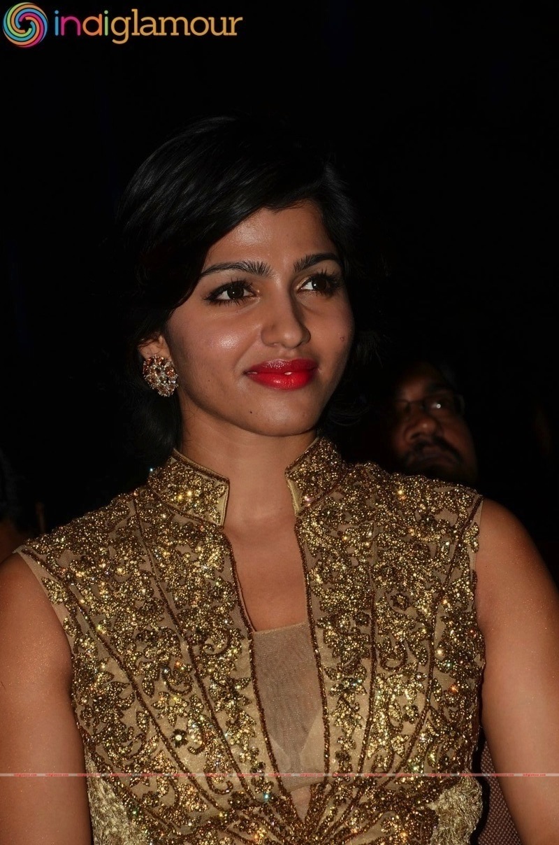 Sai Dhansika Actress hd photo
