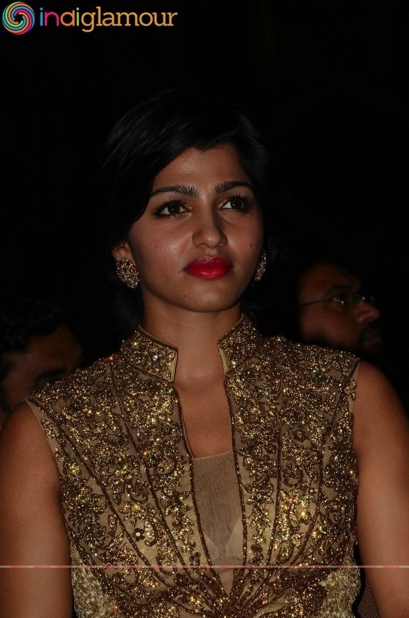 Sai Dhansika Actress hd photo