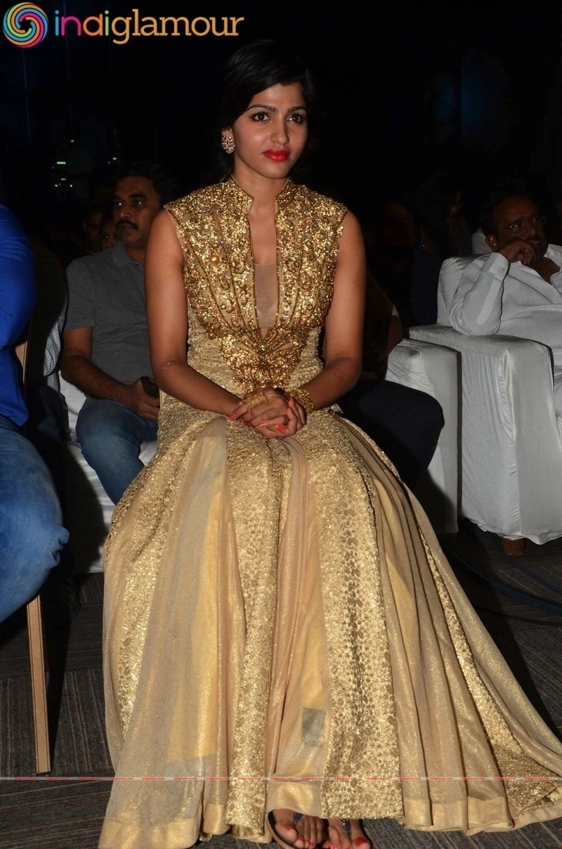 Sai Dhansika Actress hd photo