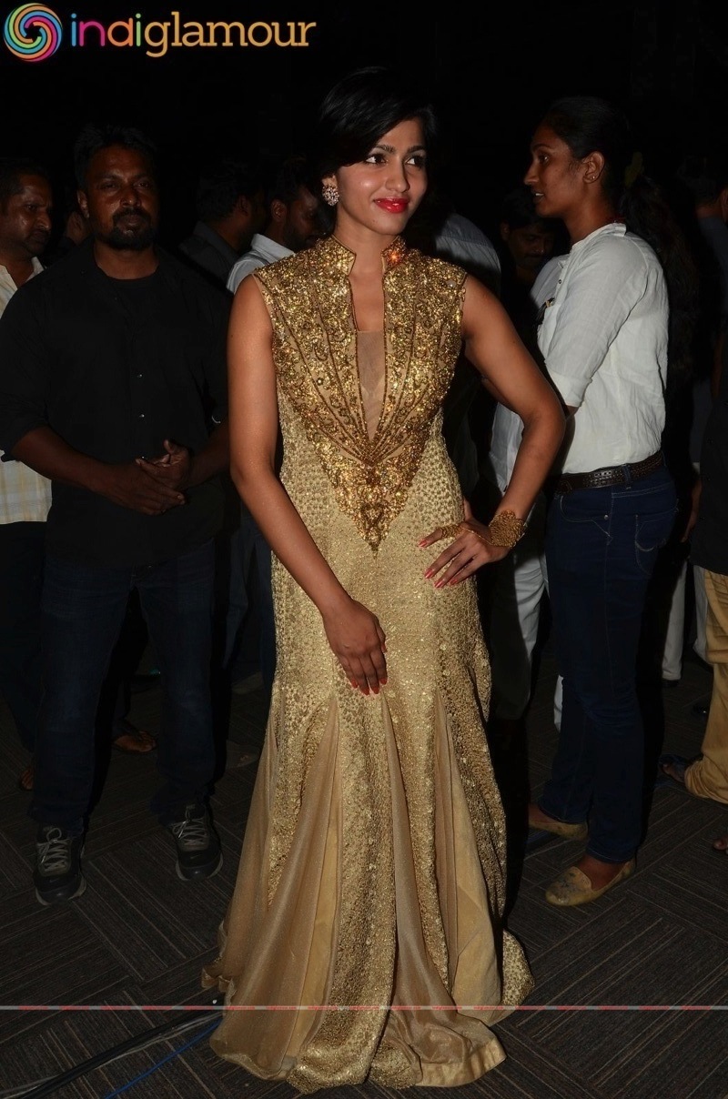Sai Dhansika Actress hd photo