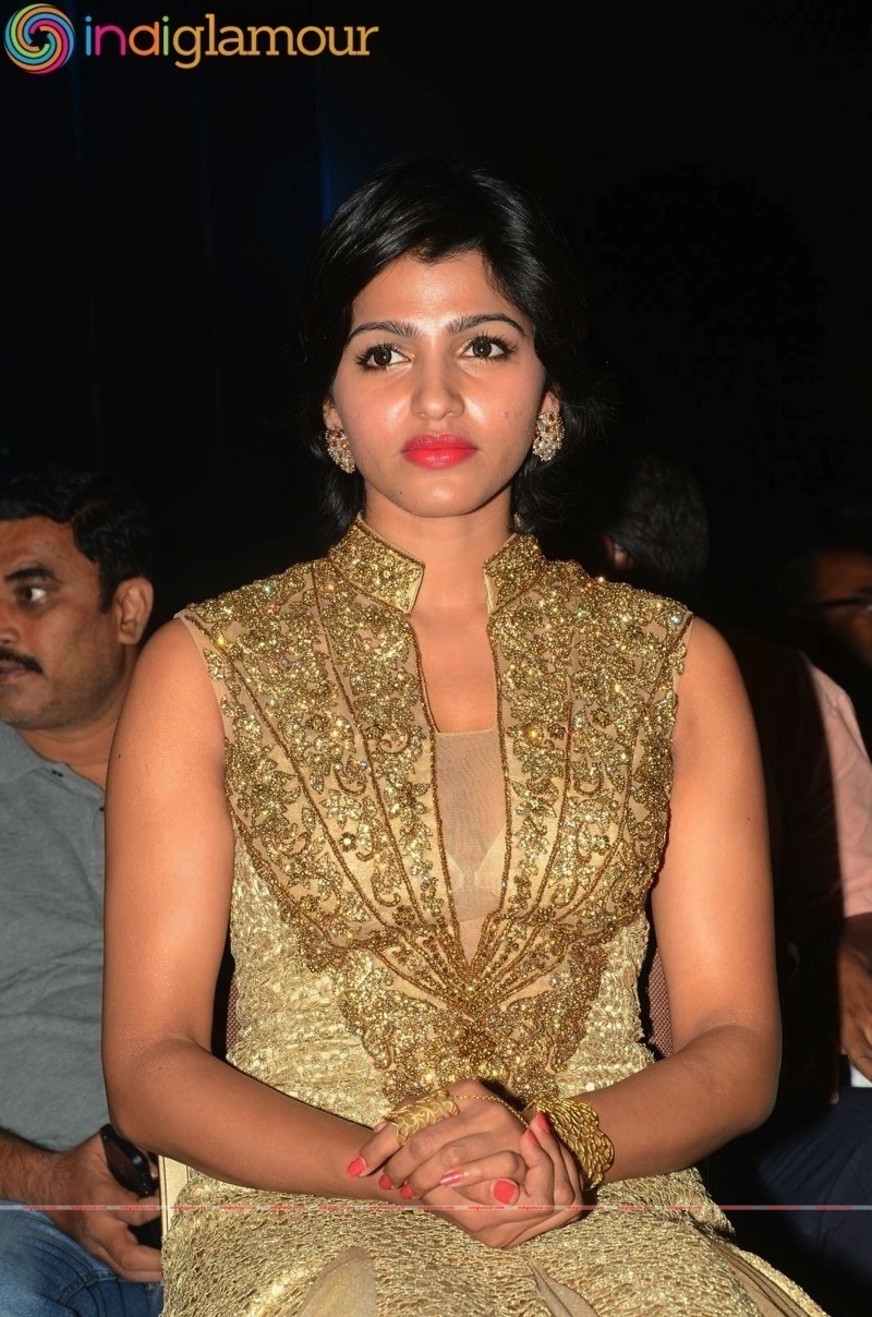 Sai Dhansika Actress hd photo