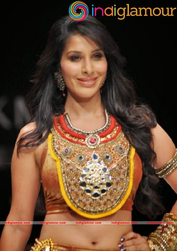 Sophie Choudary Hot And Spicy Photos Actress hd photo