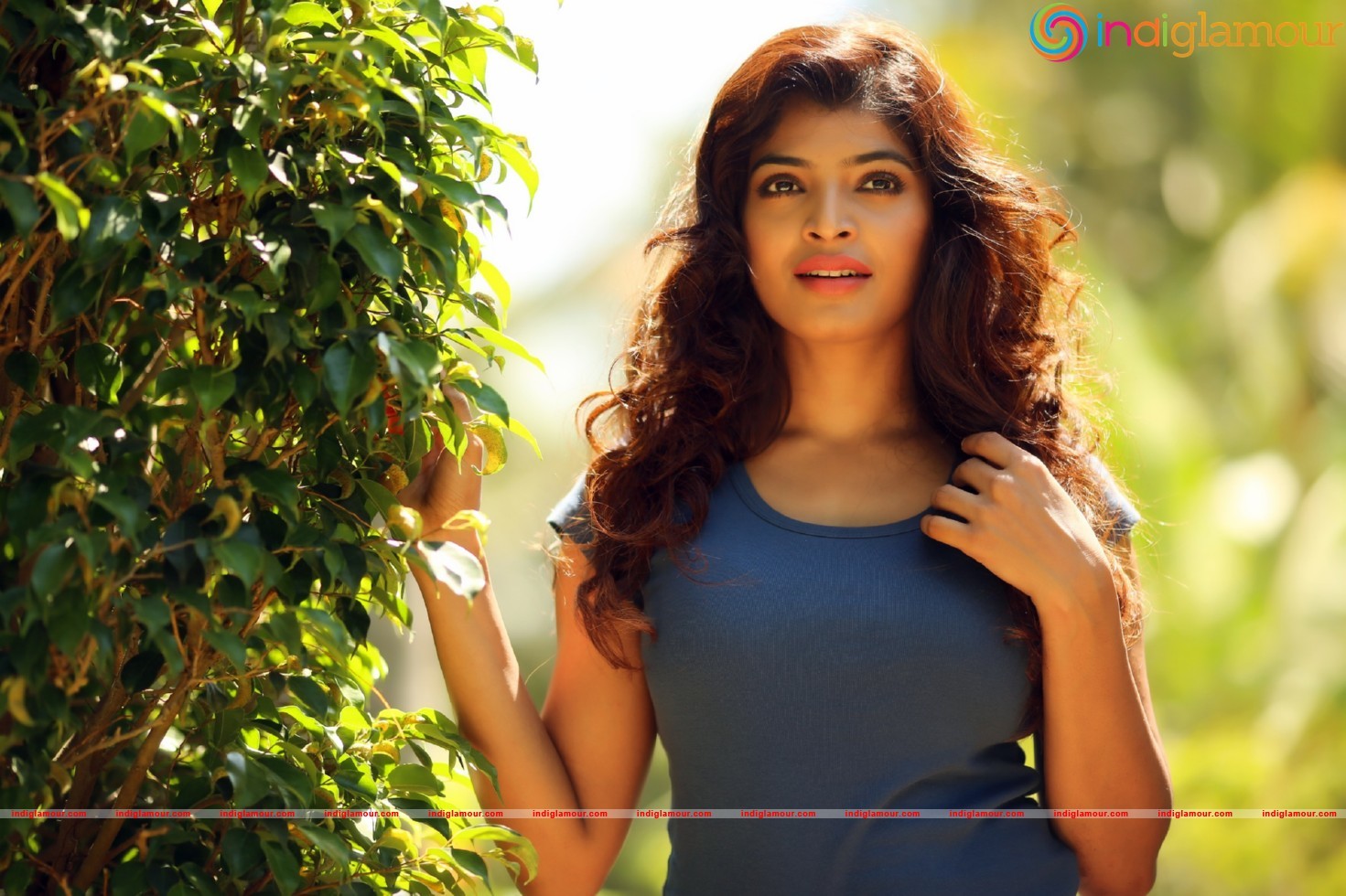 Sanchita Shetty New HD Stills Actress hd photo