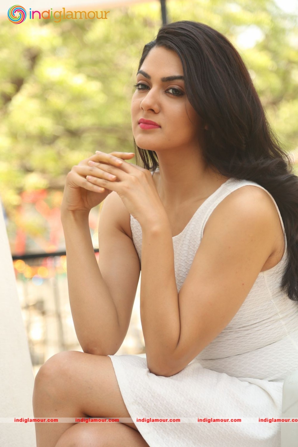 Sakshi Chaudhary Actress hd photo