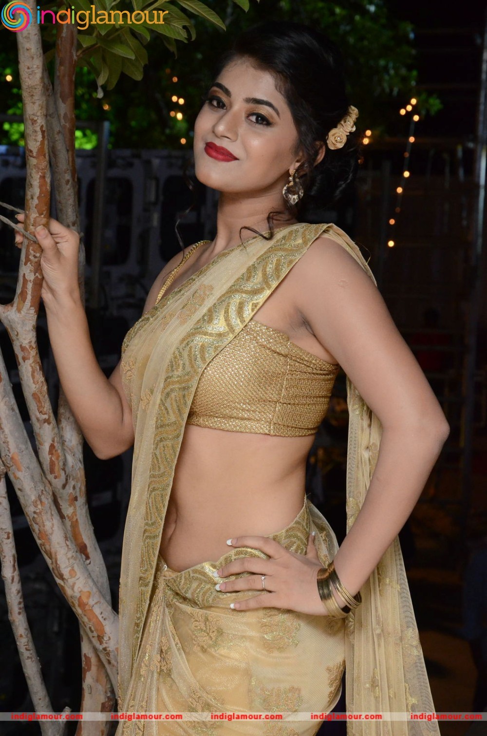 Yamini Bhaskar Actress hd photo