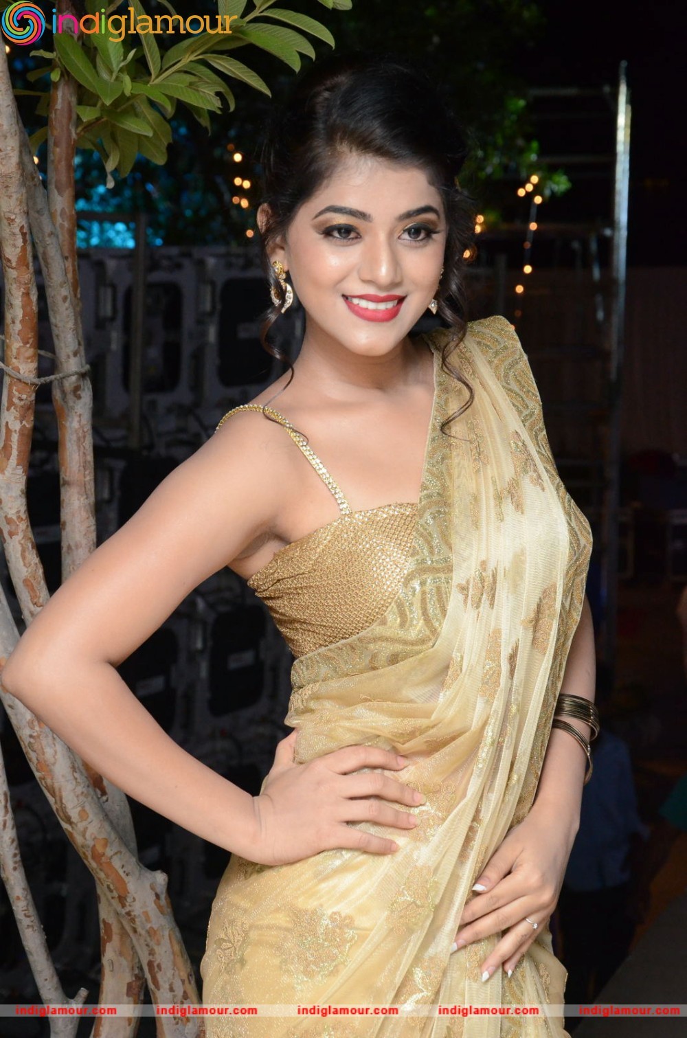 Yamini Bhaskar Actress hd photo