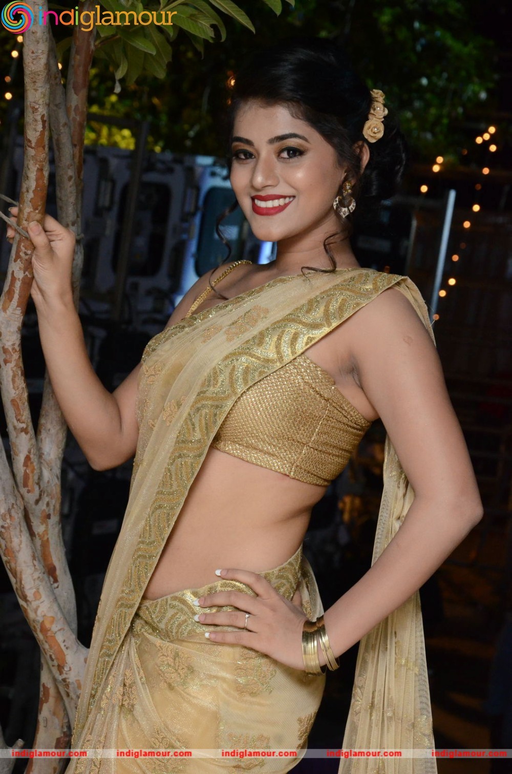 Yamini Bhaskar Actress hd photo