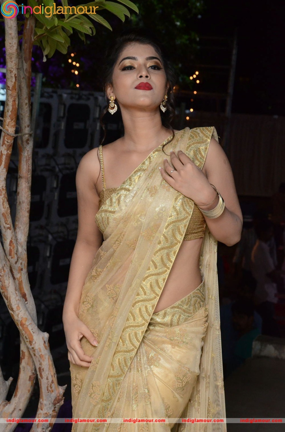 Yamini Bhaskar Actress hd photo