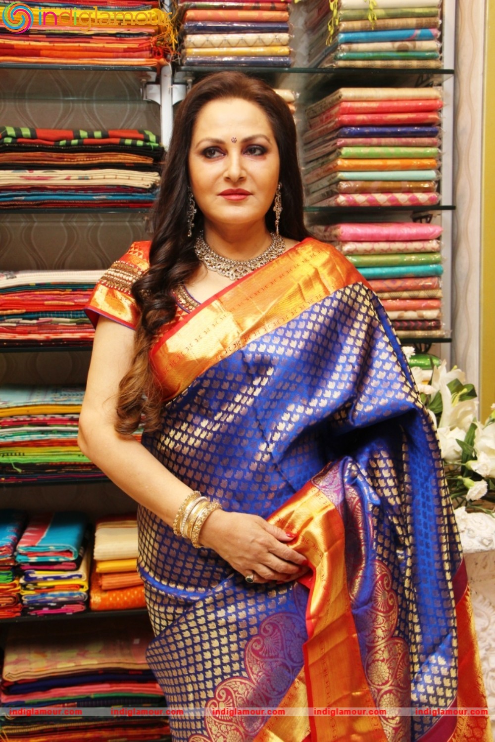 Jaya Prada Actress hd photo