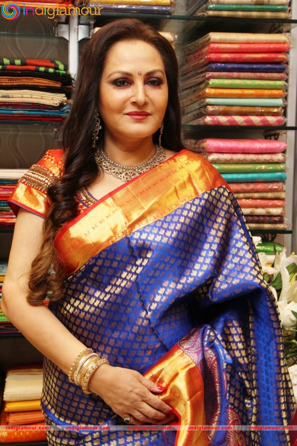 Jaya Prada Actress hd photo