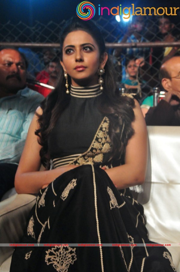 Rakul Preet Singh At Sarrainodu Blockbuster Function Actress hd photo