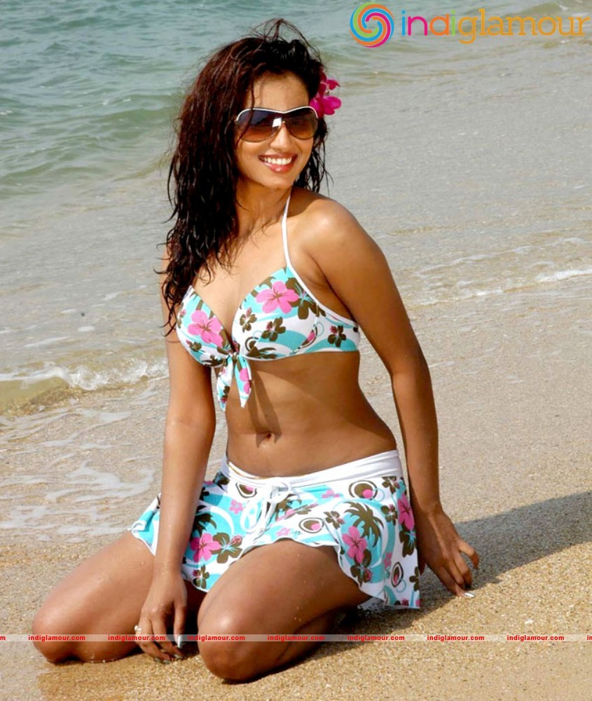 Dimple Actress hd photo