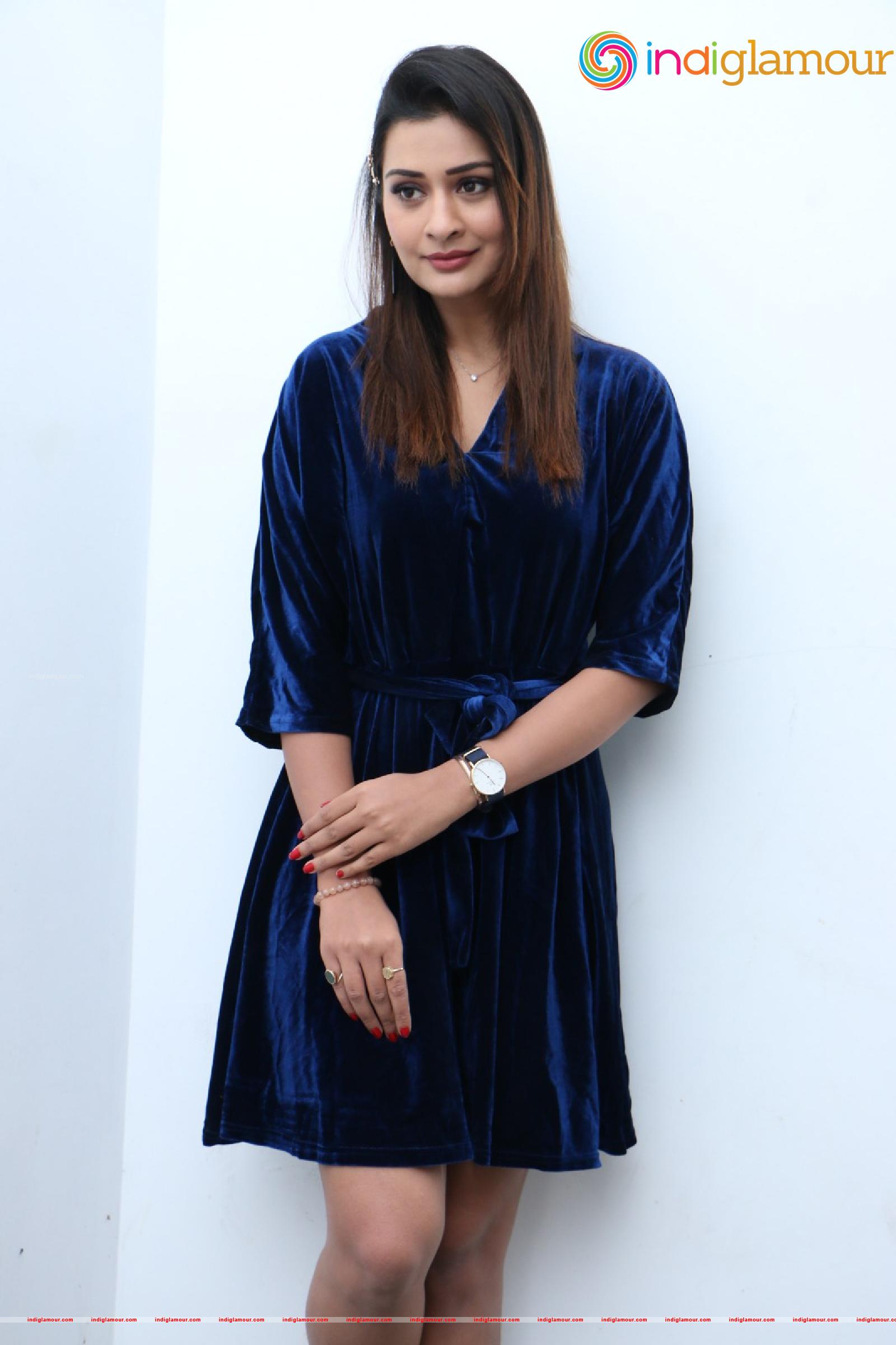 Payal Rajput Actress hd photo