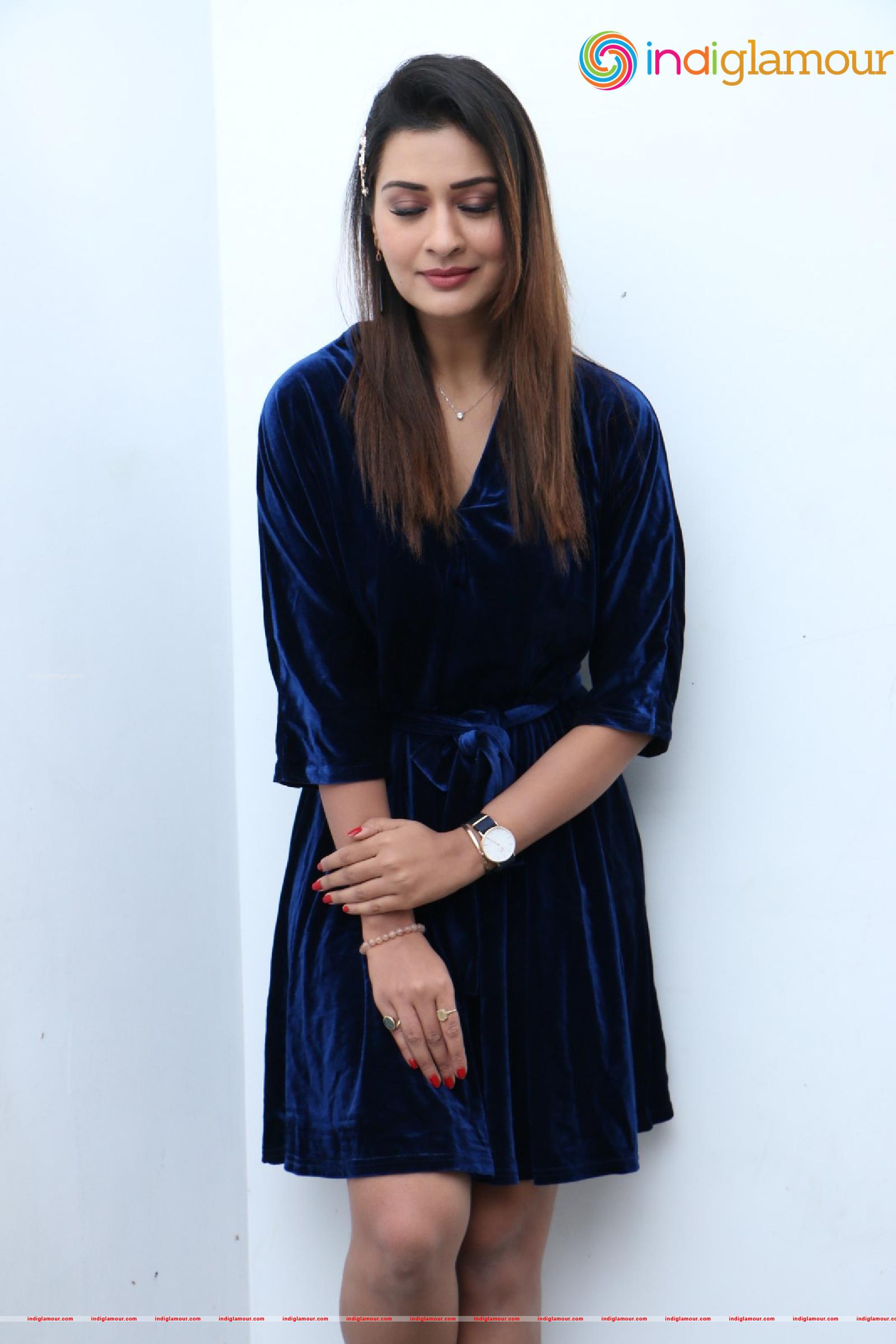 Payal Rajput Actress hd photo