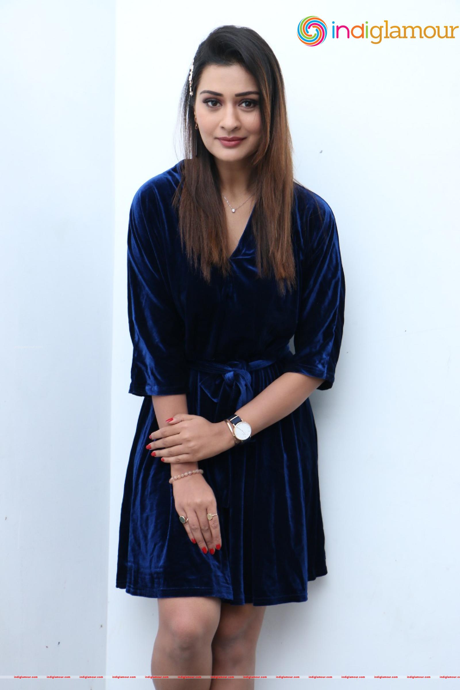 Payal Rajput Actress hd photo