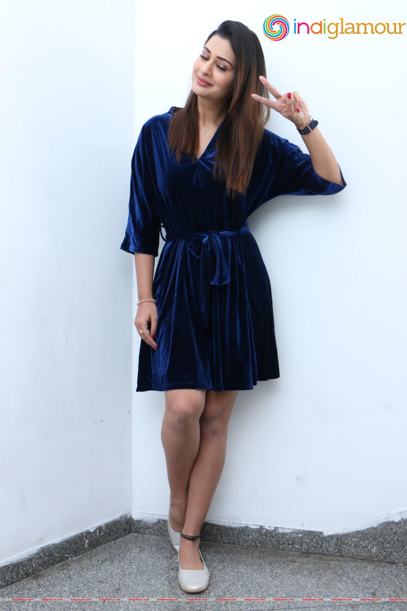 Payal Rajput Actress hd photo