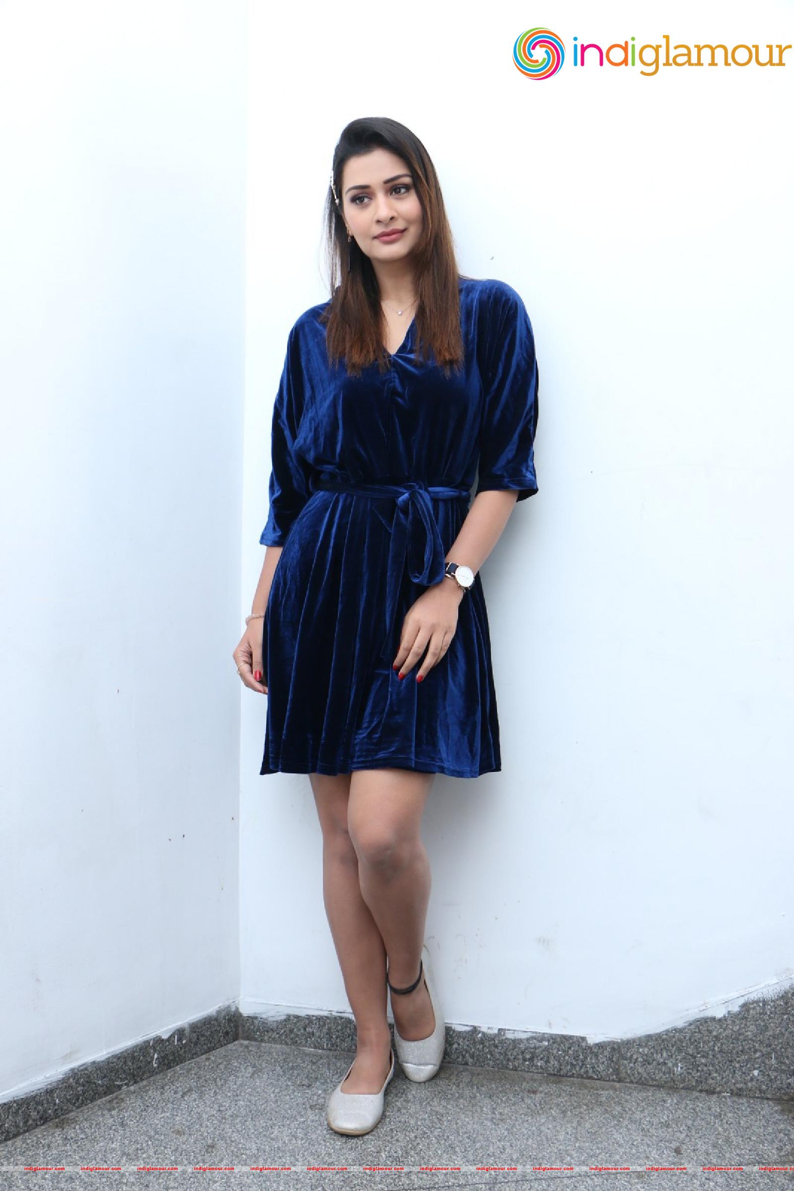 Payal Rajput Actress hd photo