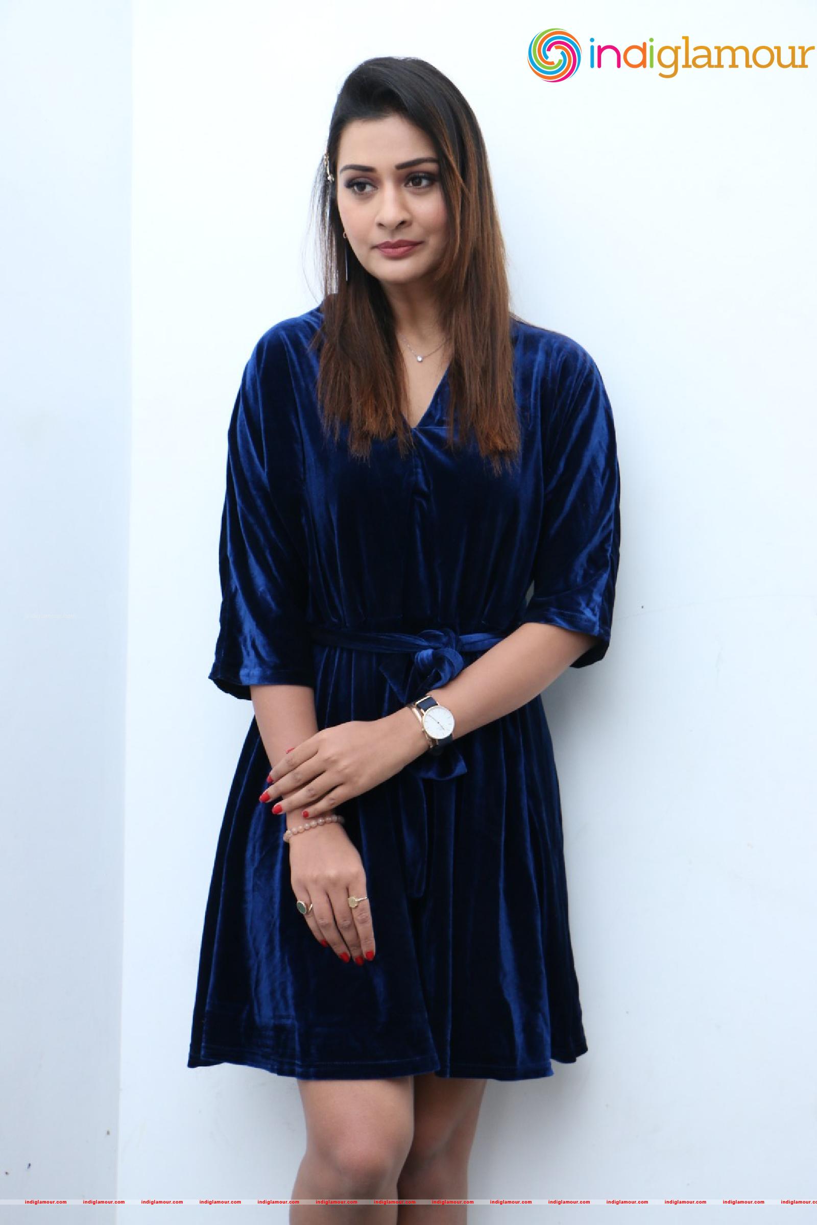 Payal Rajput Actress hd photo