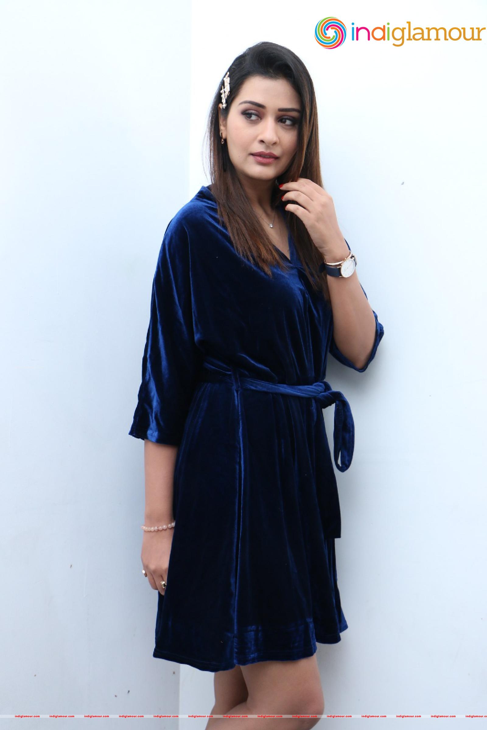 Payal Rajput Actress hd photo