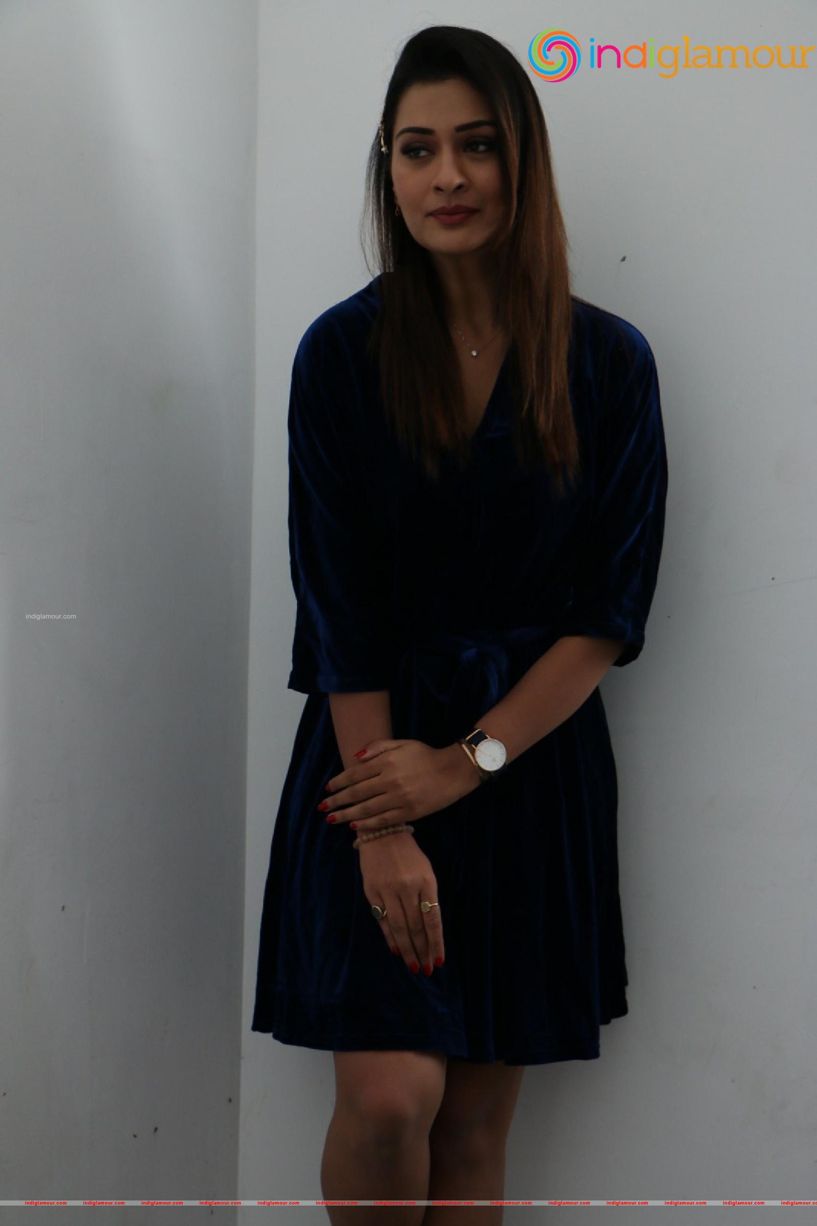 Payal Rajput Actress hd photo