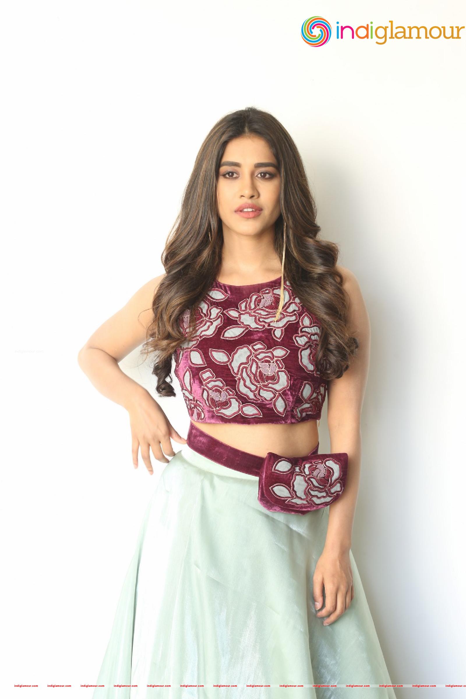 Nabha Natesh Actress hd photo