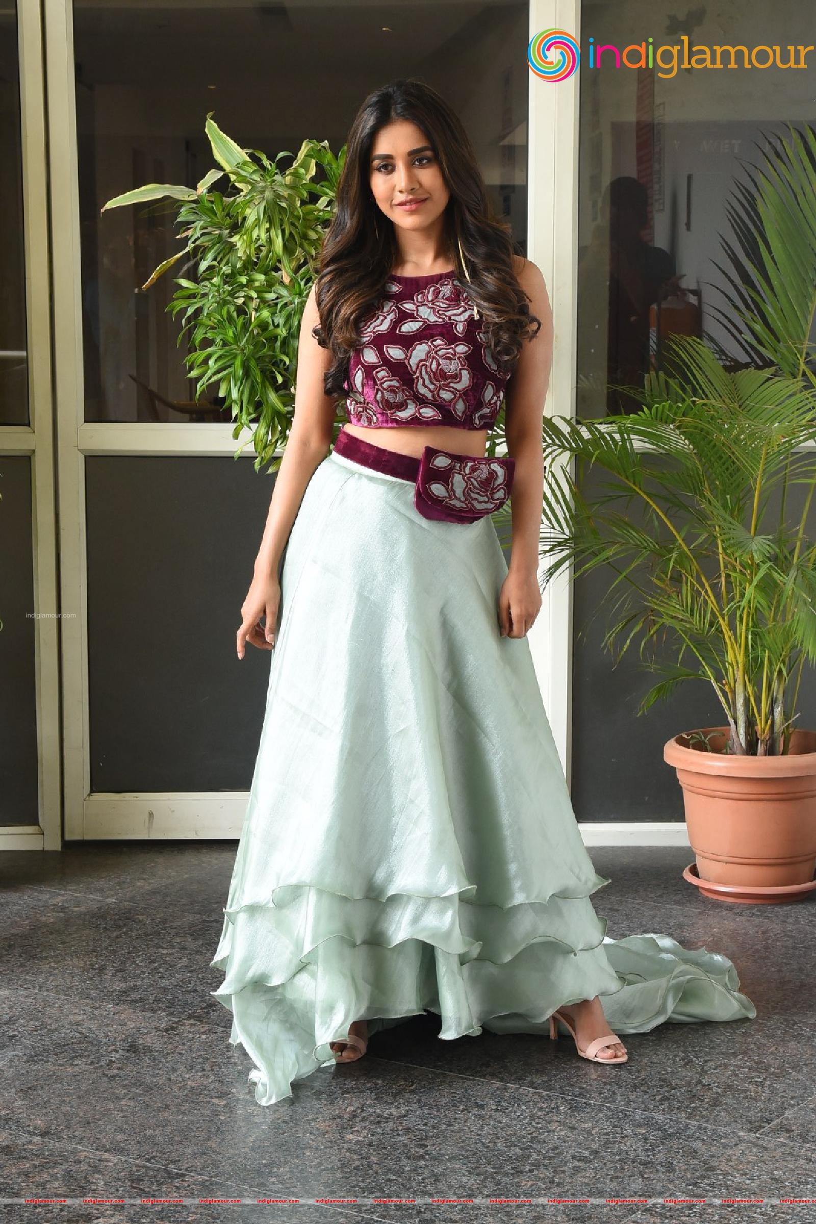 Nabha Natesh Actress hd photo