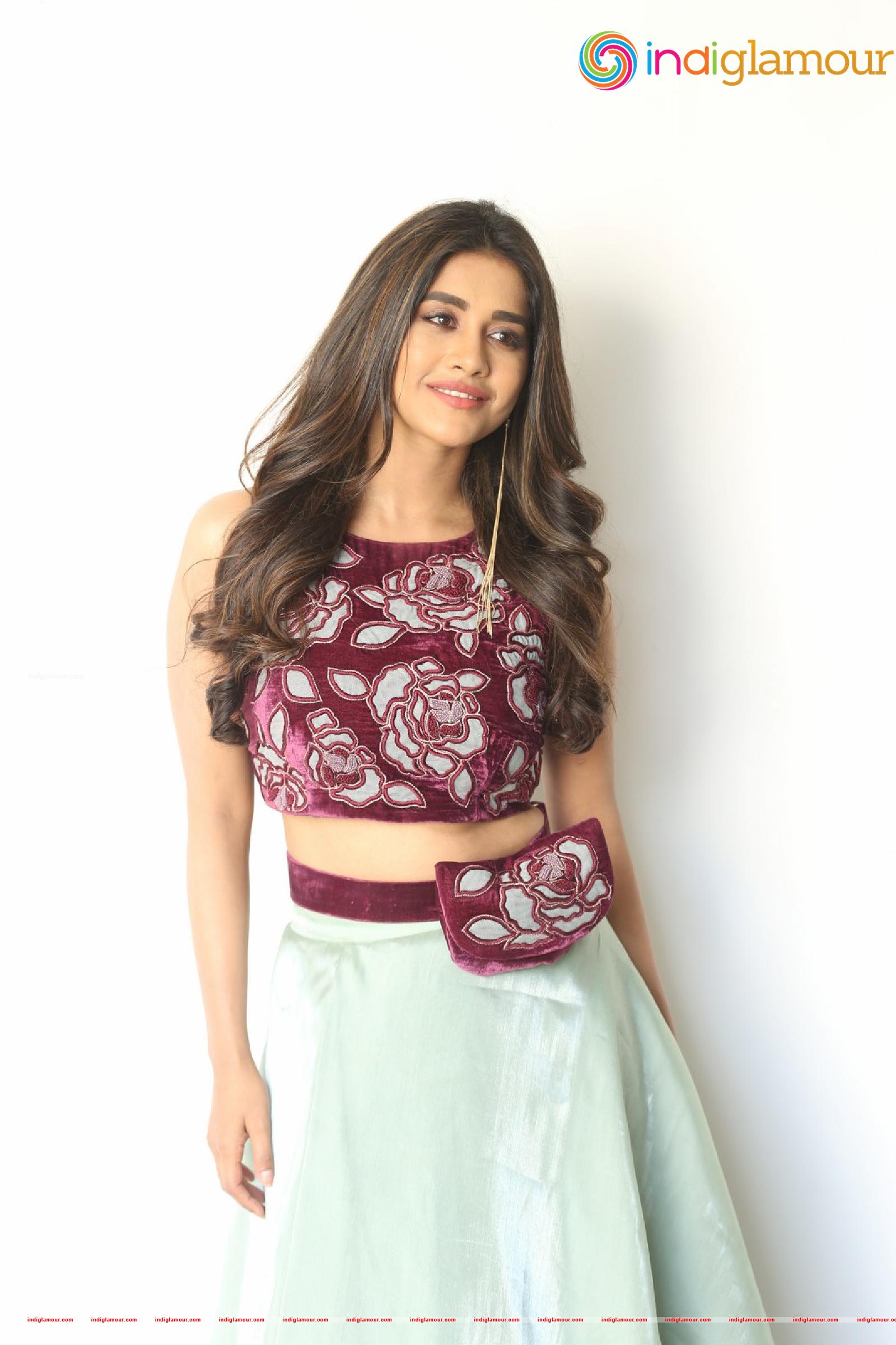 Nabha Natesh Actress hd photo