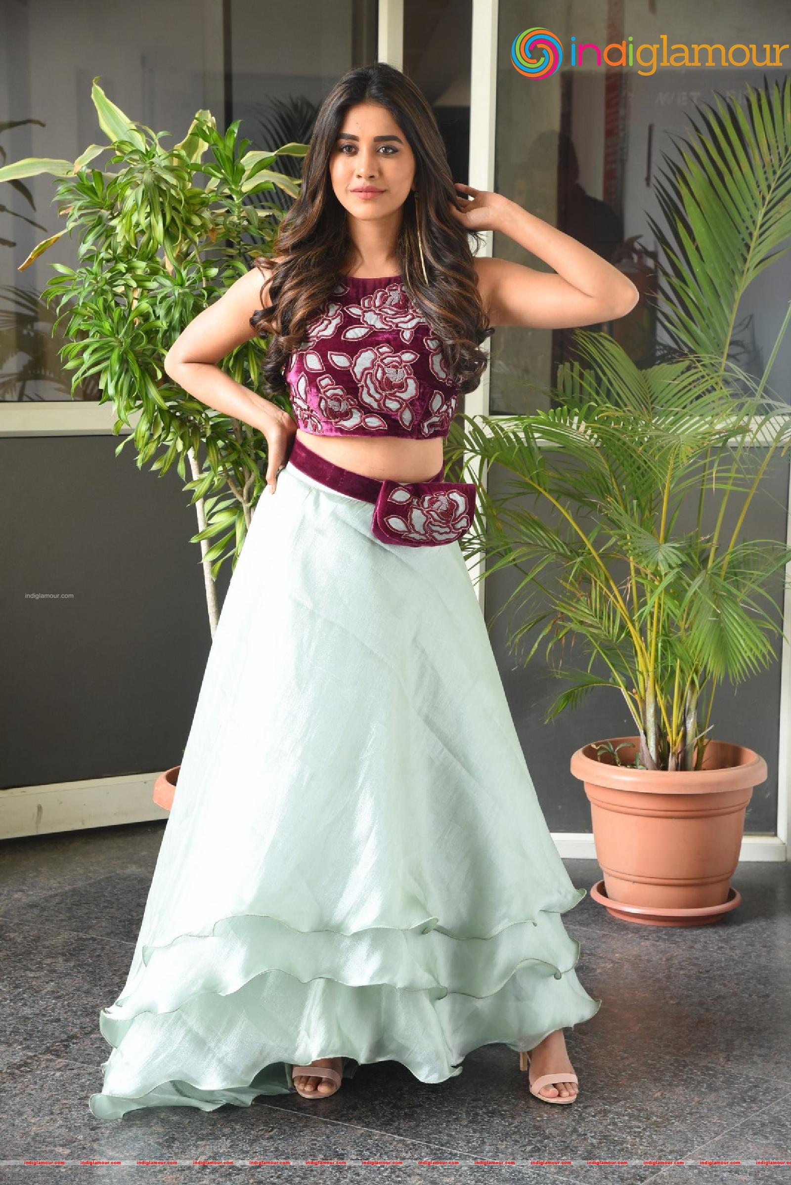 Nabha Natesh Actress hd photo