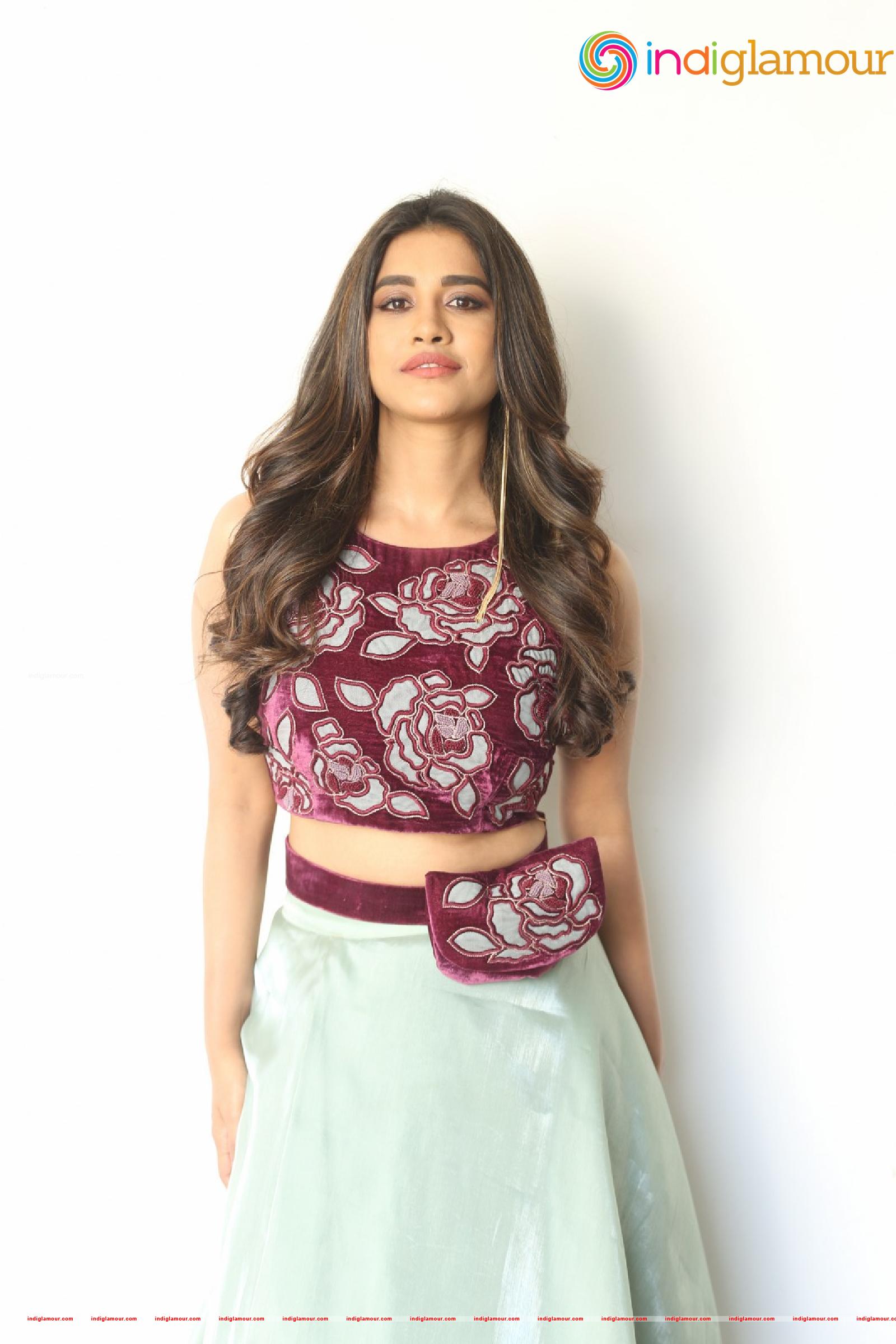 Nabha Natesh Actress hd photo