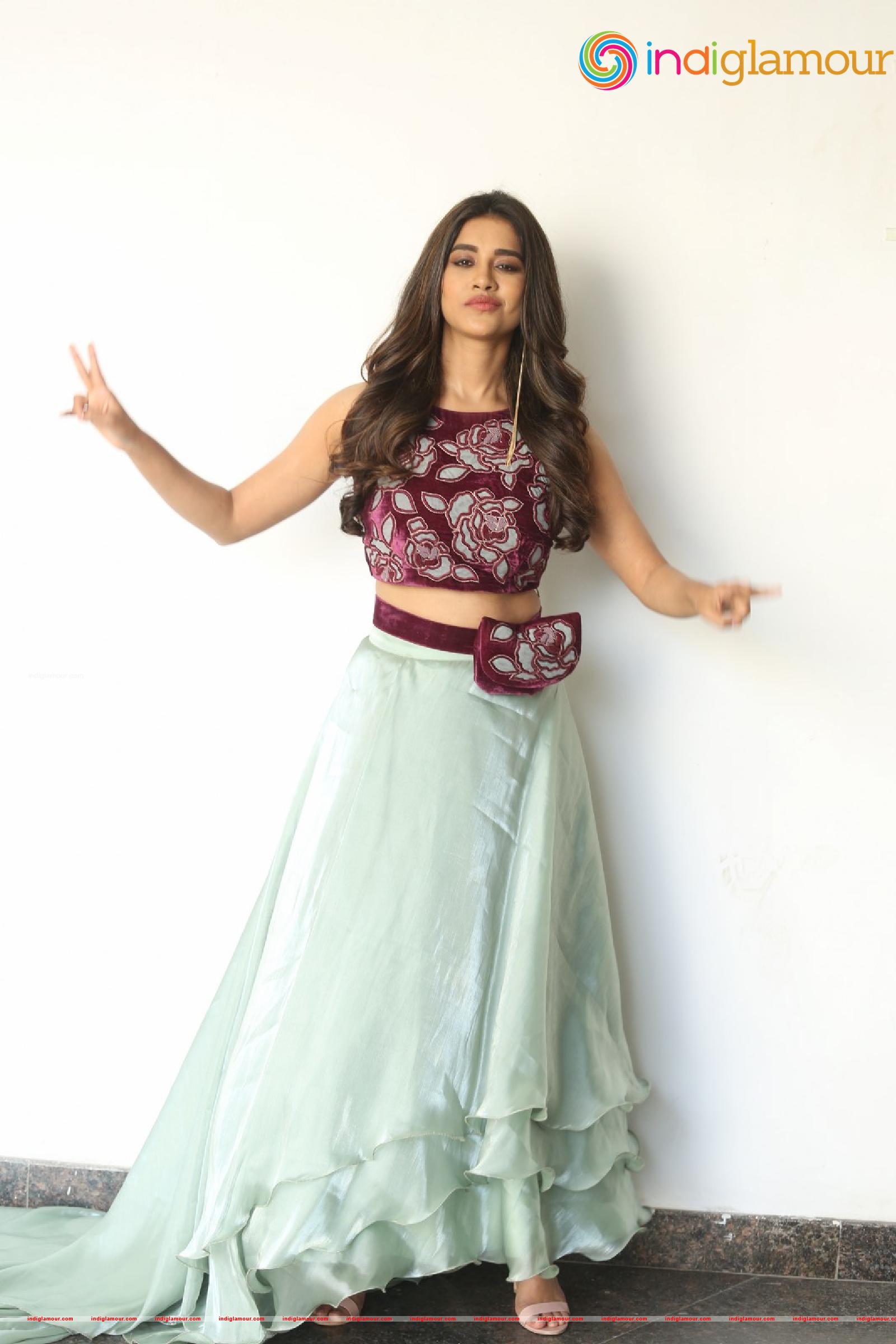 Nabha Natesh Actress hd photo