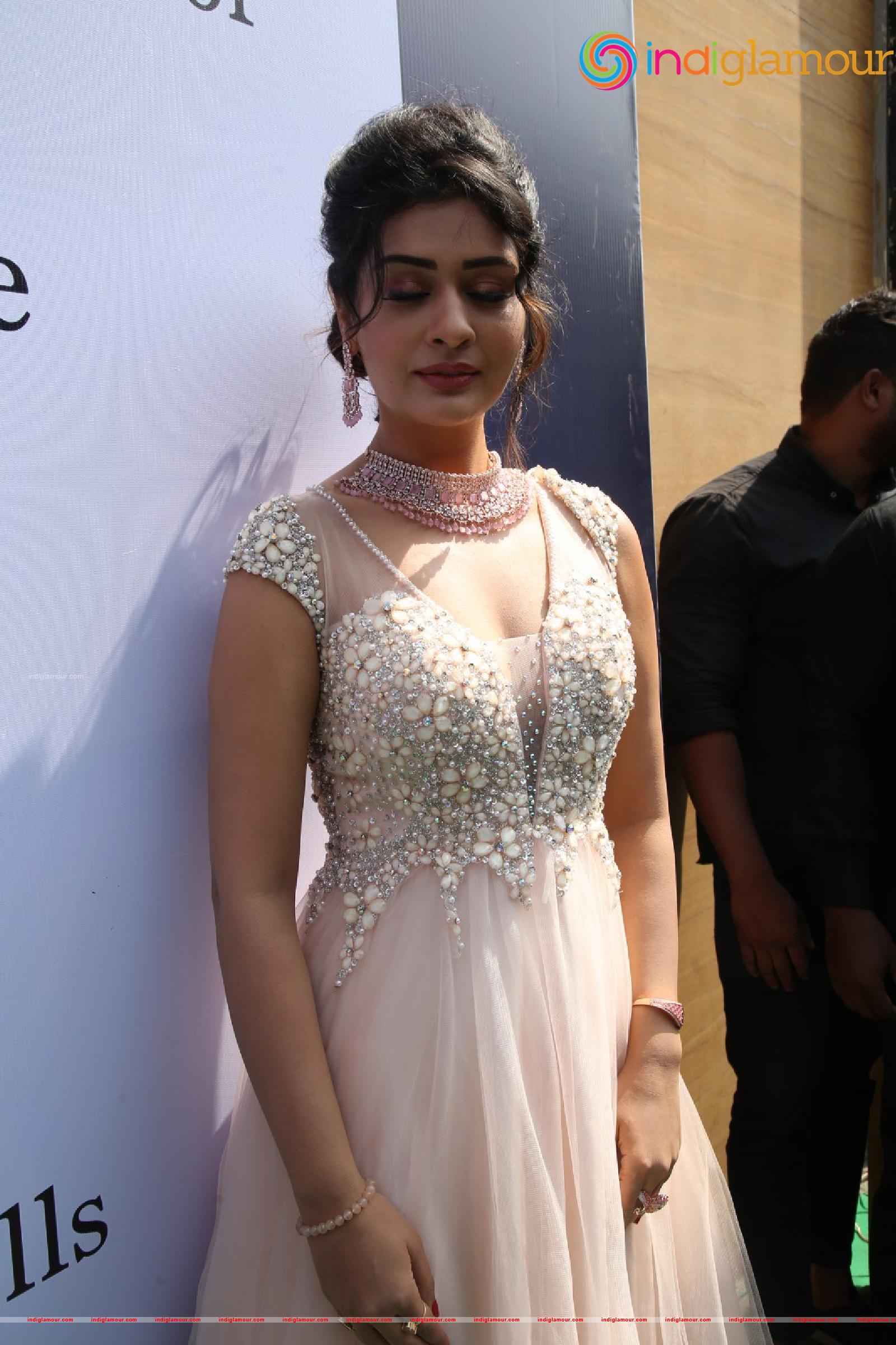 Payal Rajput Actress hd photo