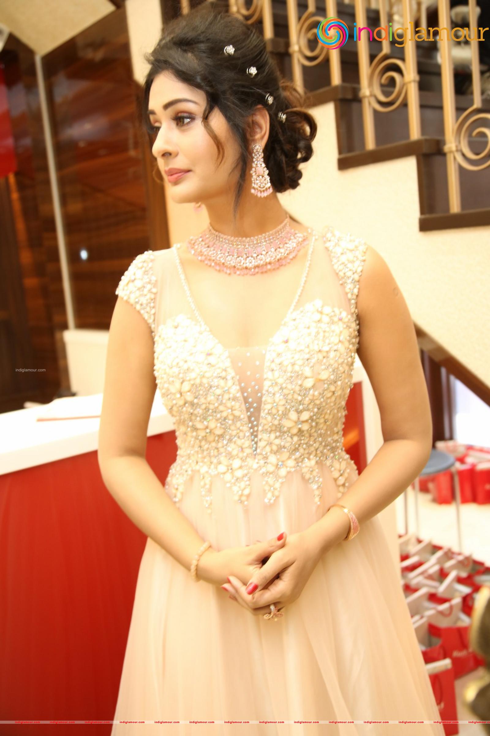 Payal Rajput Actress hd photo