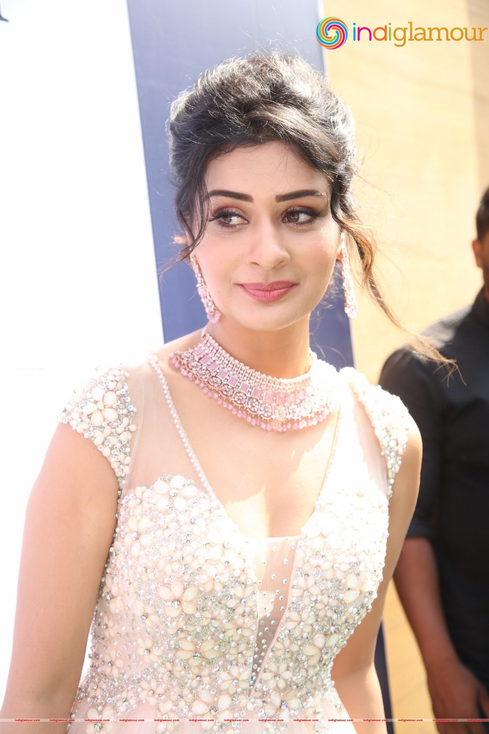Payal Rajput Actress hd photo