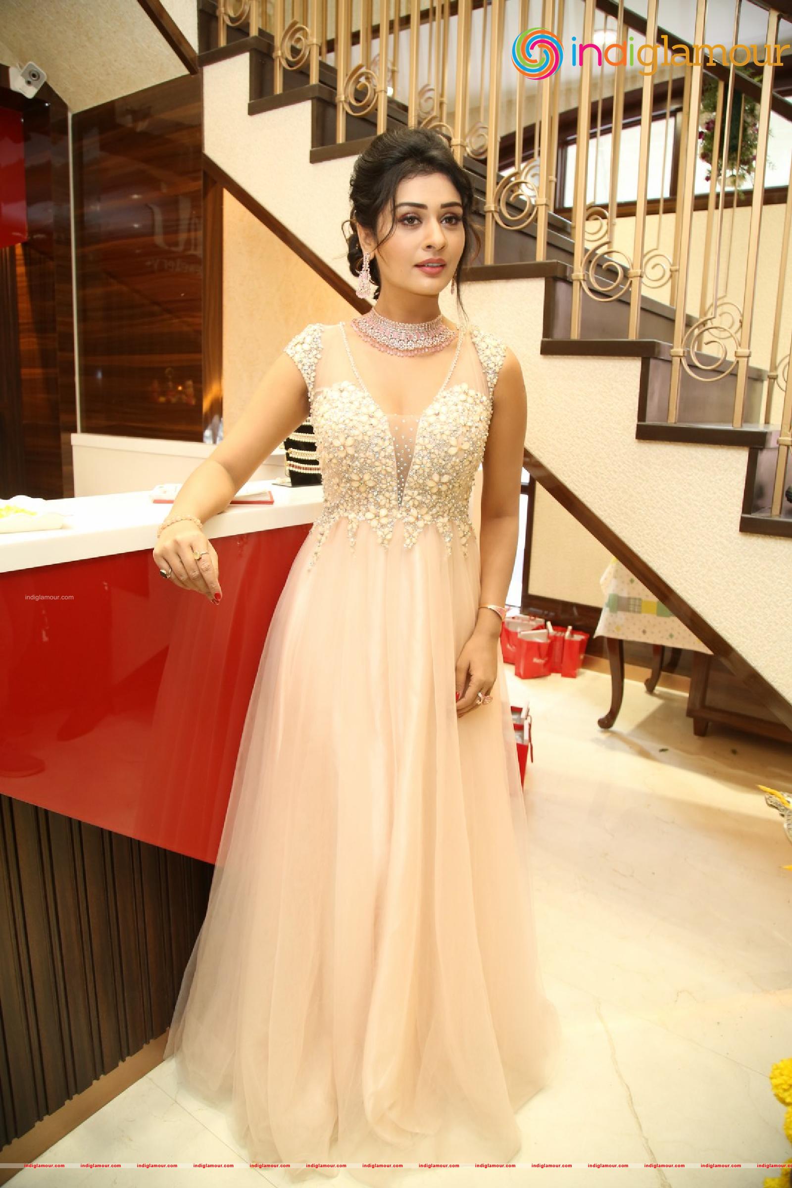 Payal Rajput Actress hd photo