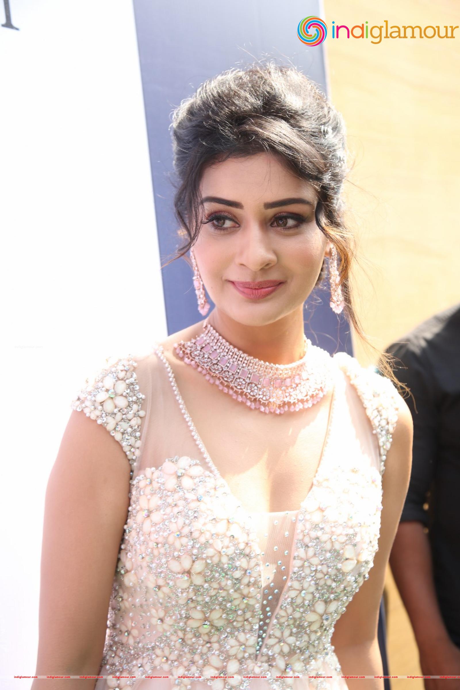 Payal Rajput Actress hd photo